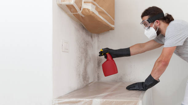 Professional Mold Remediation technician working in Sadsburyville, PA