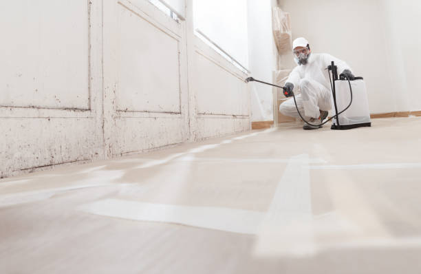 24/7 Emergency Mold Remediation experts in Sadsburyville, PA